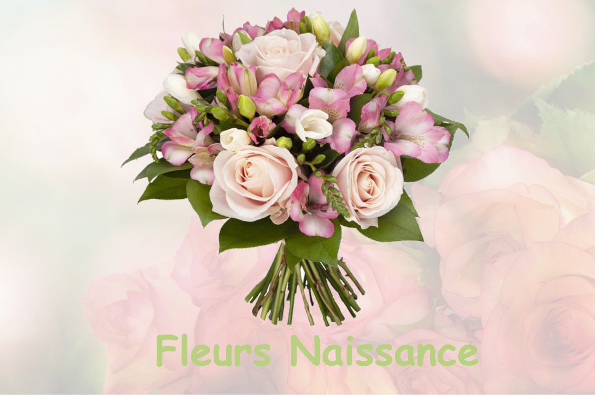 fleurs naissance MASSOINS