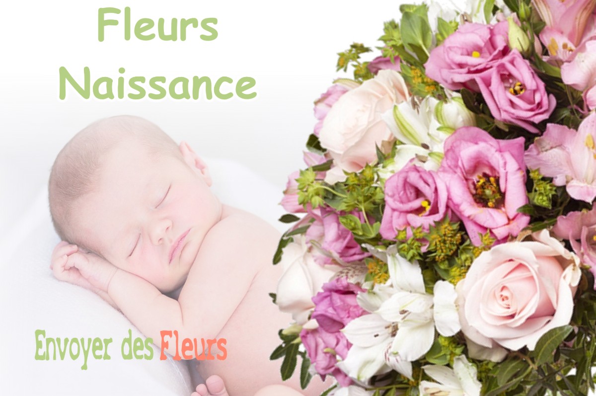 lIVRAISON FLEURS NAISSANCE à MASSOINS